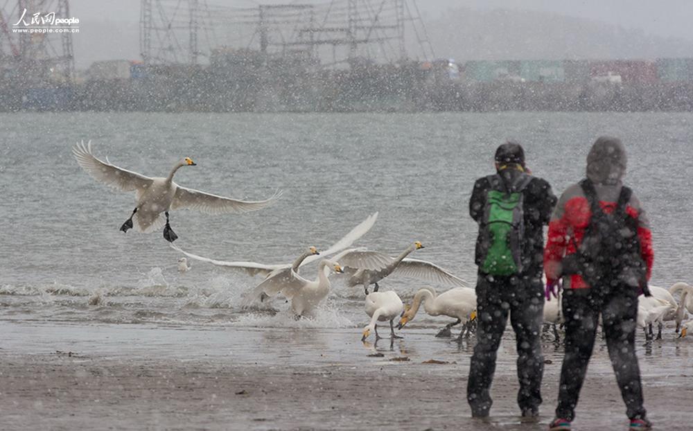 �����ޡ���ʹ���ջ�