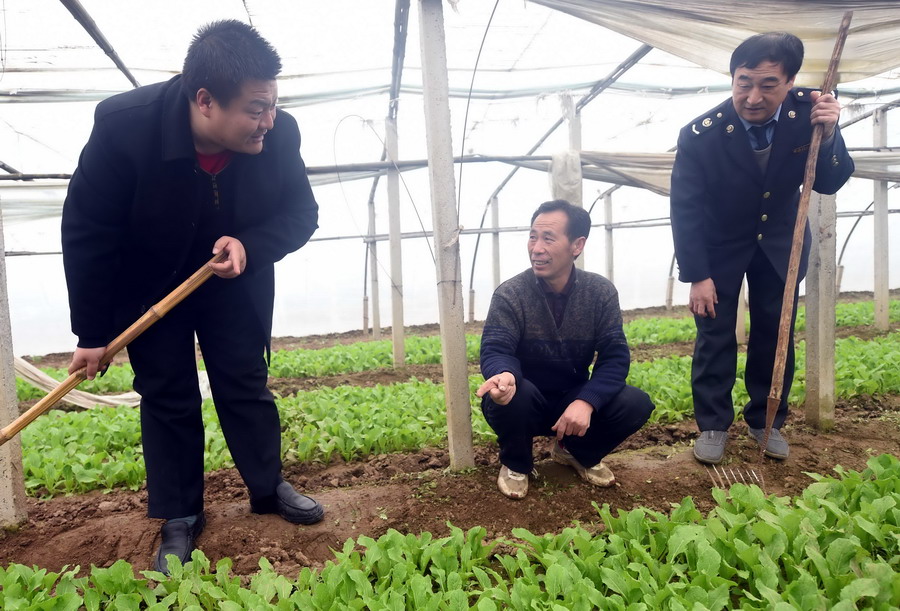 河北香河:机关干部下基层为群众服务