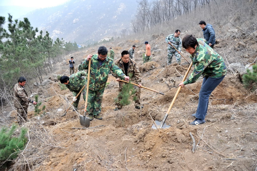 在山东泰安,徂徕山林场的职工在参加春季植林工作(3月16日摄).