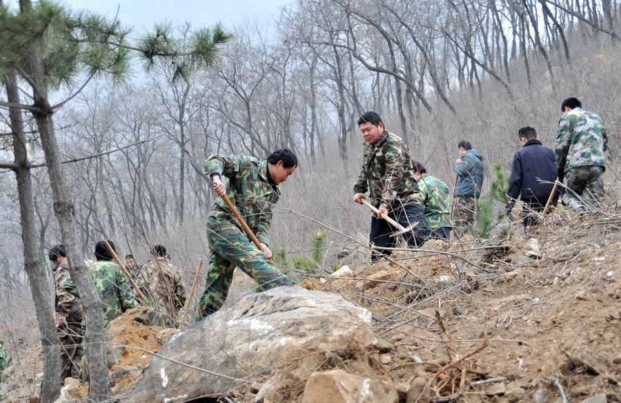 山东泰安徂徕山林场职工在进行春季植林工作(3月16日摄).
