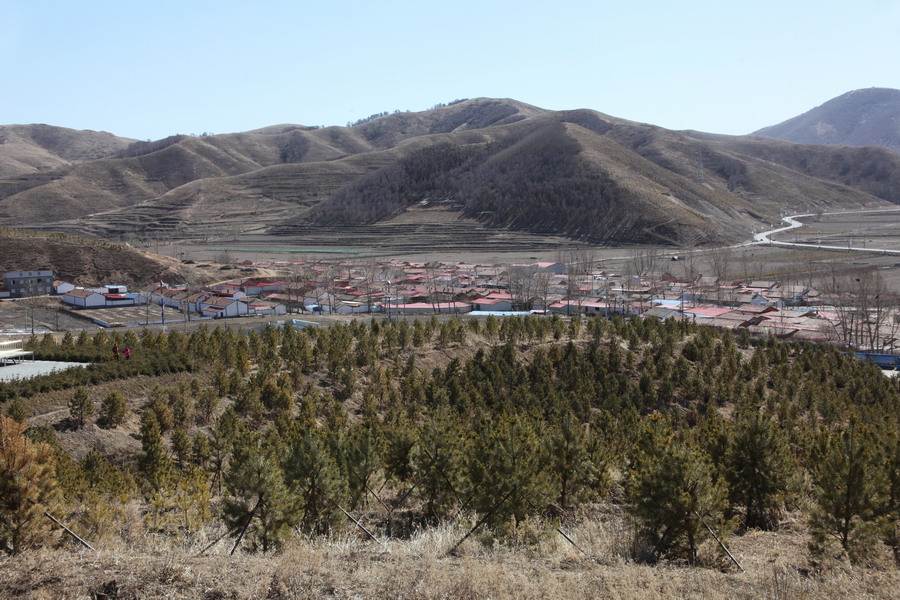 图为张家口市崇礼县太子城区域外景.(资料照片)