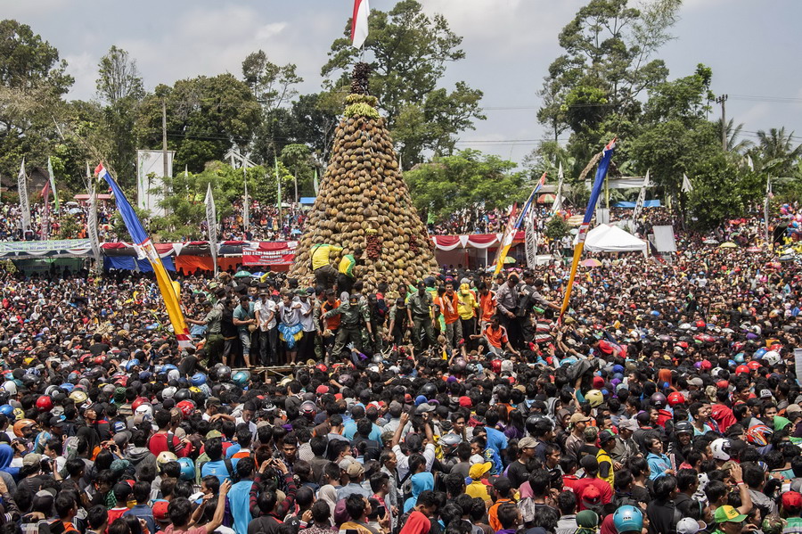 3月29日,在印度尼西亚东爪哇岛,人们聚集在"榴莲塔"前领取榴莲.