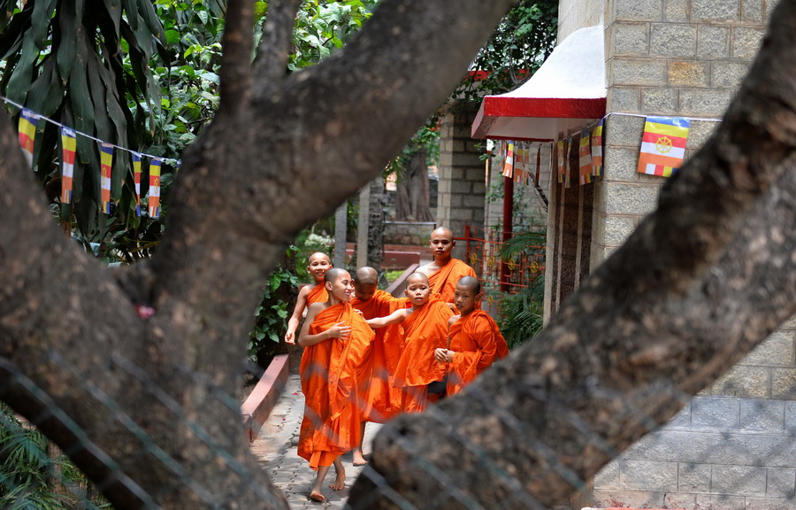 印度僧人庆祝卫塞节