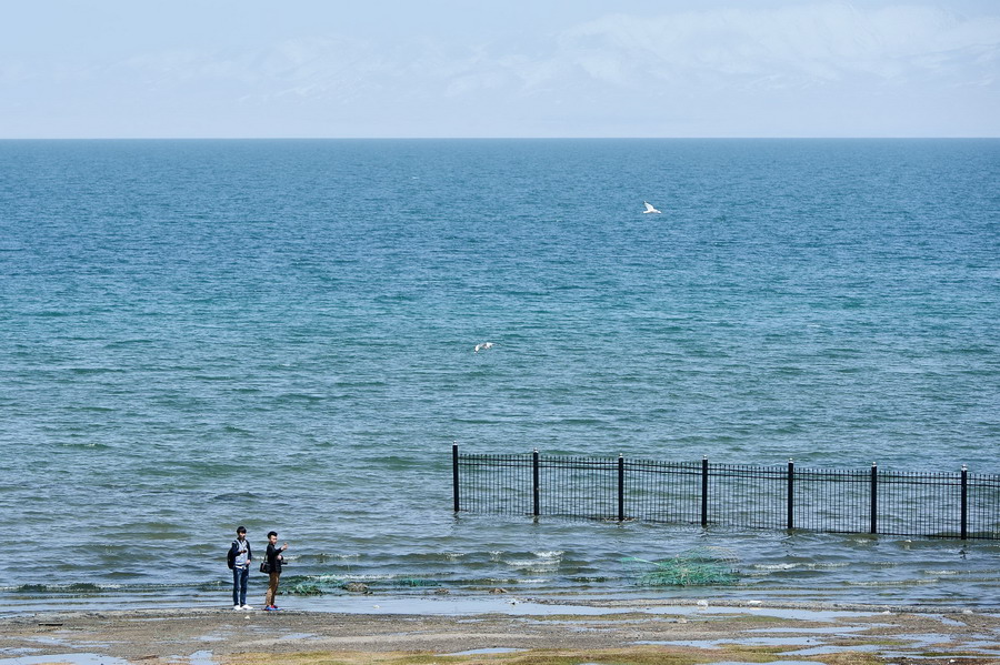 青海湖连续十年发福