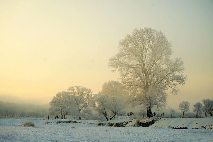 ��������ڡ�����㣬��ڡ���Ǽ����ɻ����ϵ�һ��С���������ﲻ���Ľ�ˮ��������ˮ���������������,����������Ϊ˪��������ѧ��֮Ϊ�������������ɻ��������ܶ�ط����ܿ��������ɵ�����ڡ��������������������ĵ��ƽϼ��������ͣ����н�ˮ���������ȿ����������ཻ�������Ｘ�����춼����ڡ��������˪��ѩ�������������ǳ���������ʱ��������������Ʈ�죬�����ɾ����ȡ���Ȼ����Ҳ����Ӱ�������ĵط���