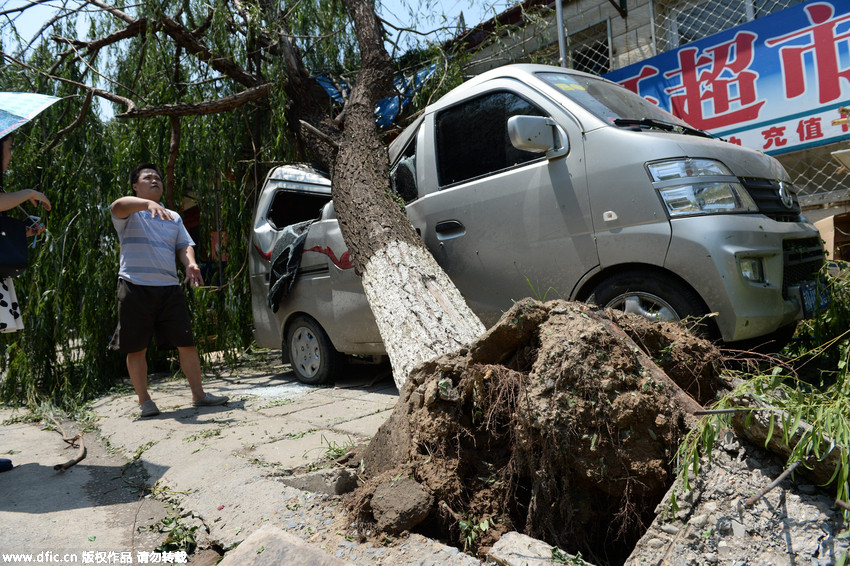 飓风席卷北京丰台一村庄 大树压车电线杆折断围墙被吹倒 