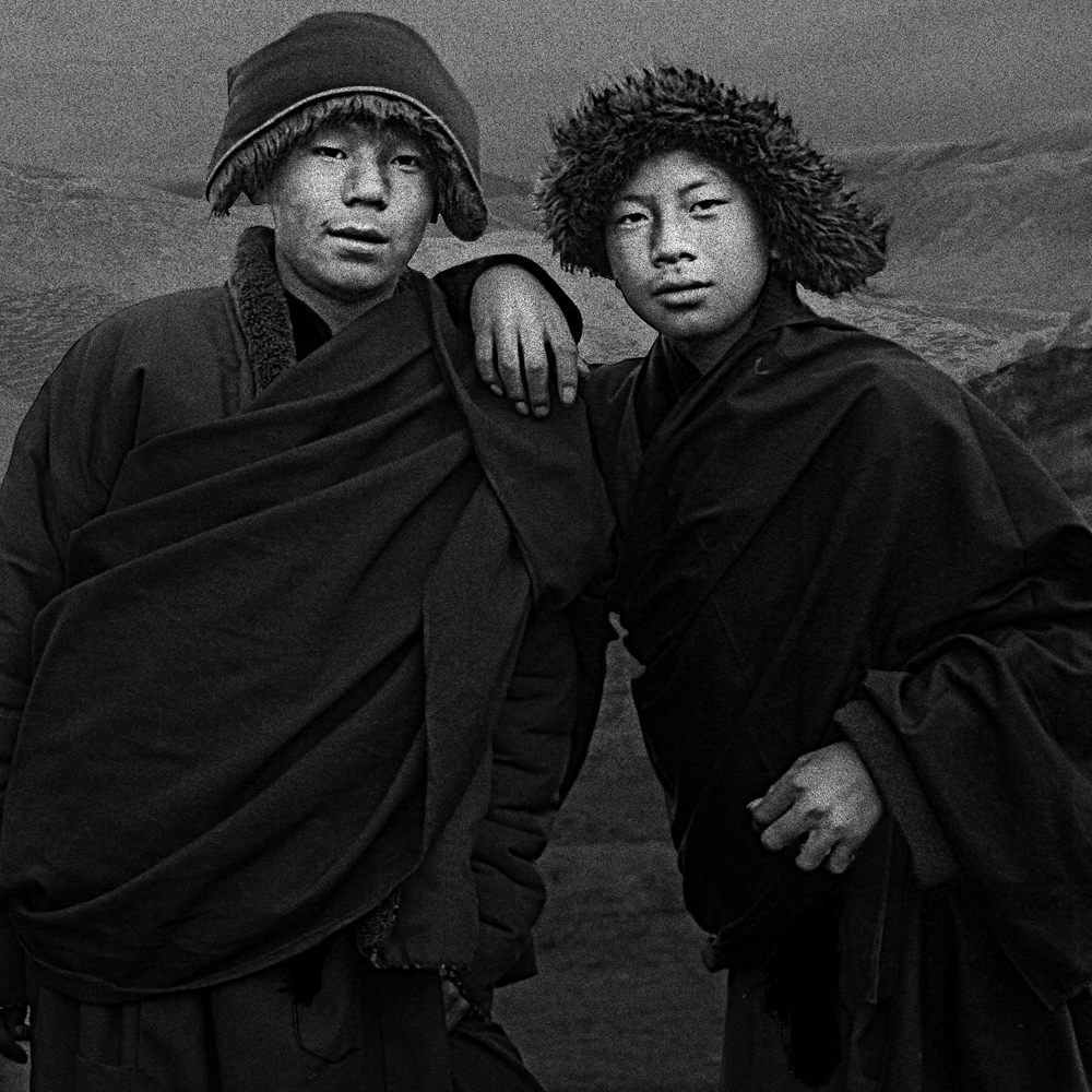 �ŷ���Ʒ���ء�ԭ���顷��6��