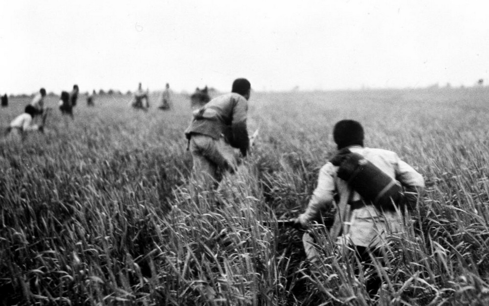 图为八路军战士在冀中的麦田里进行伏击战，抗击日军。