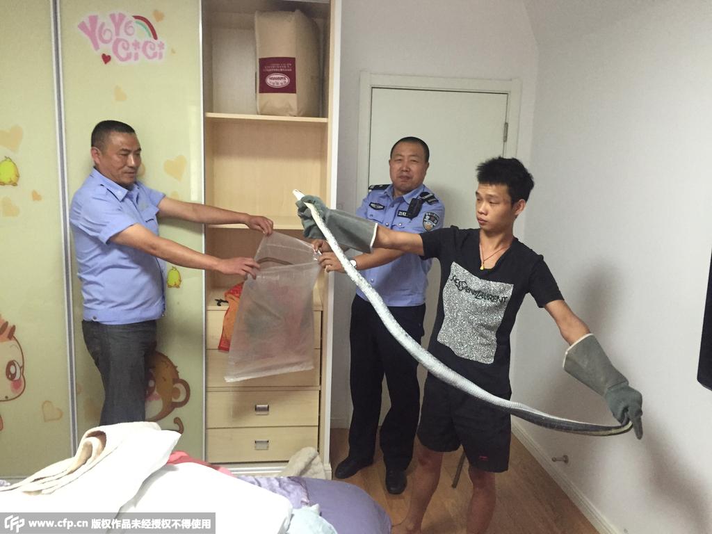 南京一居民家中发现巨蛇 警察求助朋友圈解决