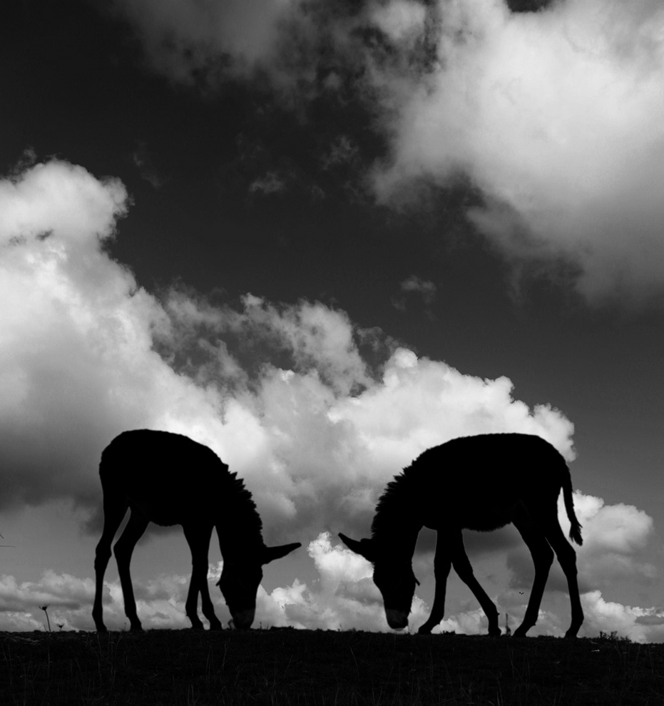 12.��������ӡ��----����ϼ��Ӱ