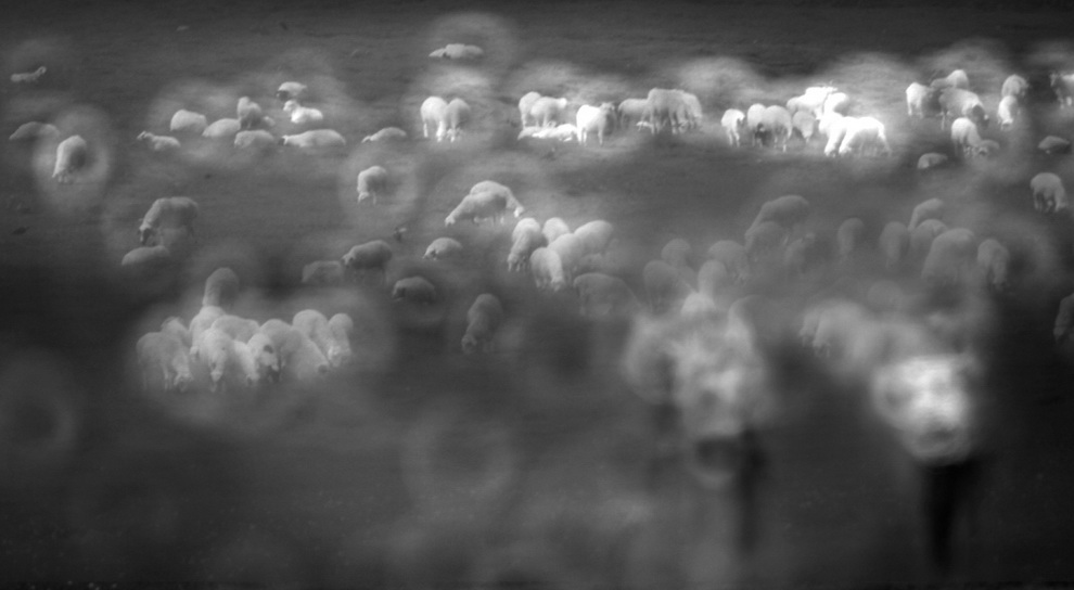 13.��������ӡ��----����ϼ��Ӱ