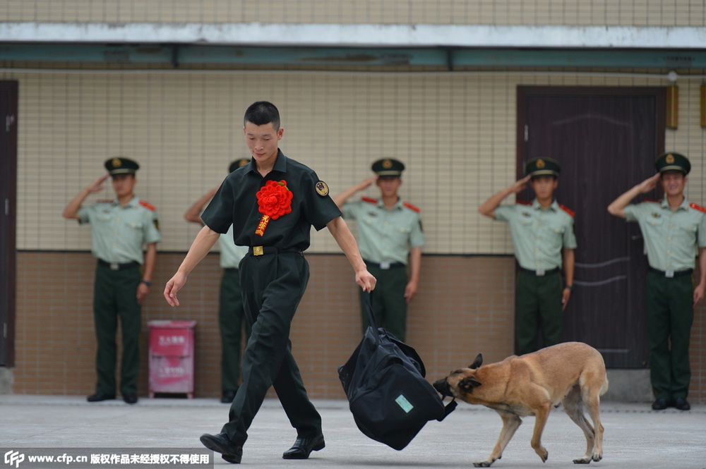 重庆:武警老兵退伍 警犬咬行李不放