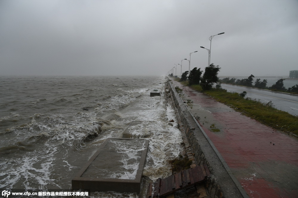 <em>台风</em><em>杜鹃</em><em>登陆</em>福建莆田--图片频道--人民网