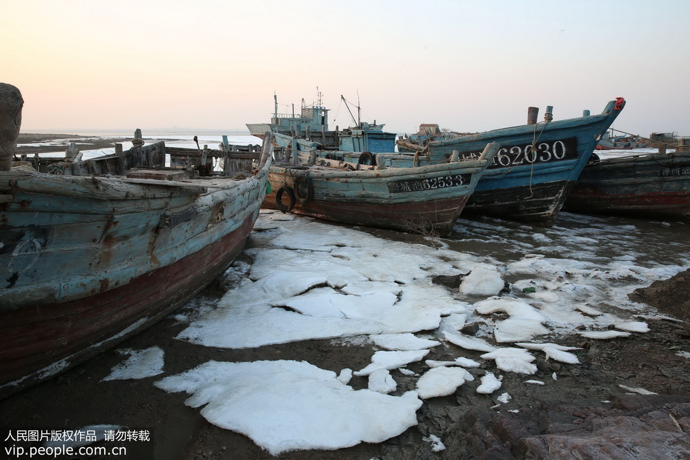 山东多地遇极寒天气 胶州湾岸边渔船遭冰封