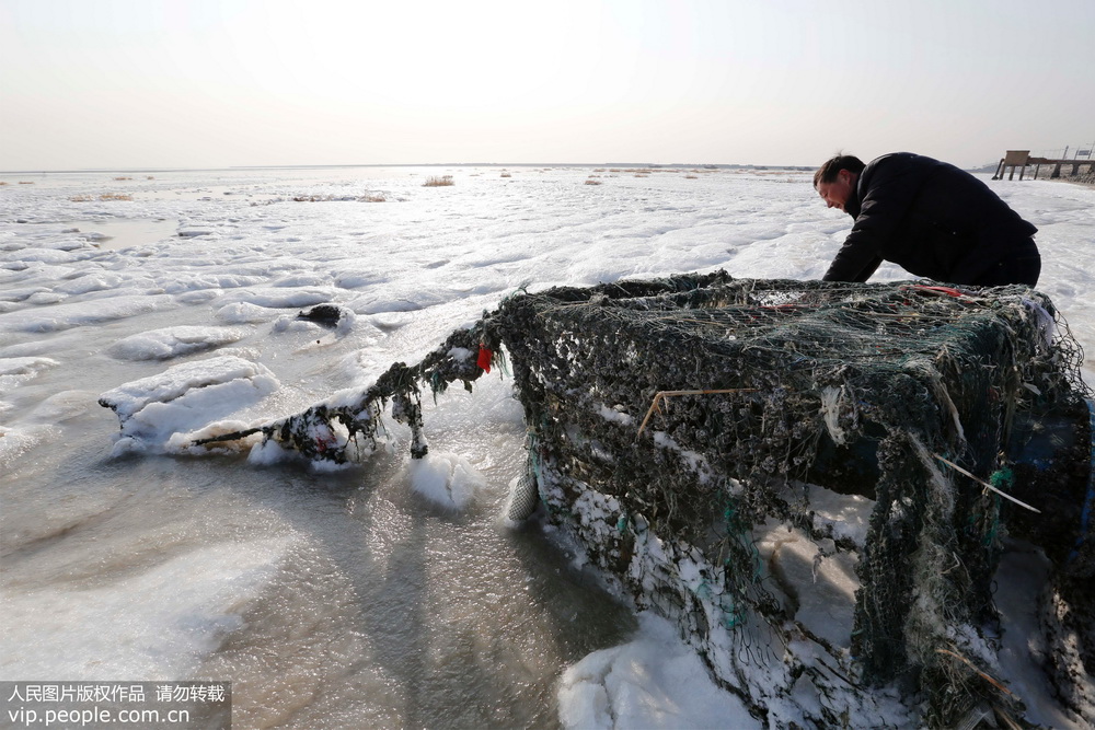 江苏海州湾沿海出现大面积海冰