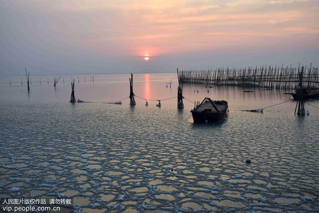 全国最大的平原水库河南宿鸭湖13年来首次全