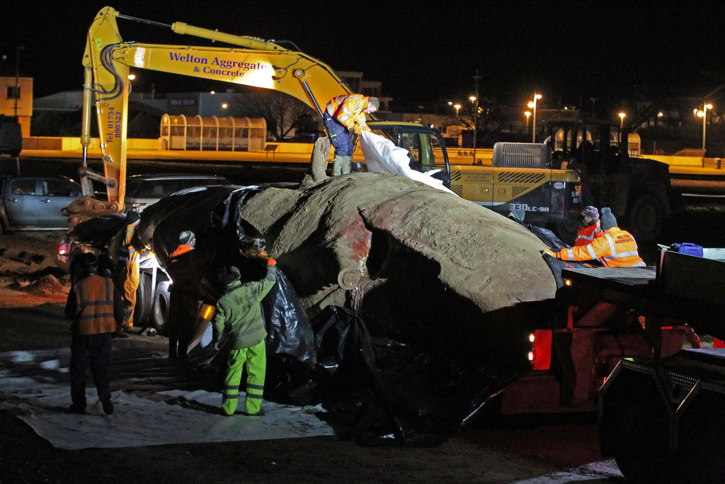 1月27日，在英格兰东部斯凯格内斯的海滩上，工人们把一头抹香鲸的尸体装上卡车。