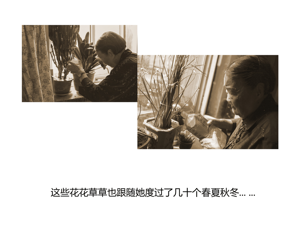 ���š������/��Ӱ