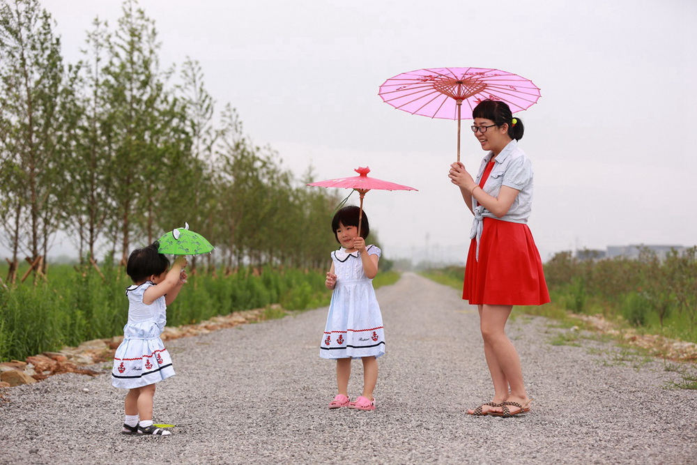 �����ж�����12 Ҷ������Ӱ