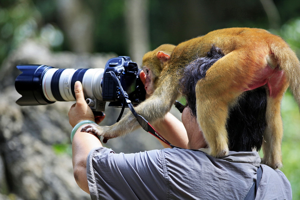 4.���ʹ���  ��������