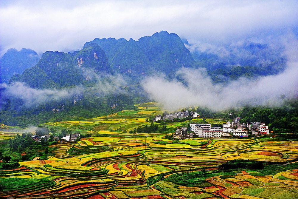 7.��԰���   ��������