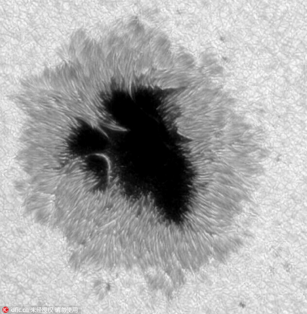 nasa发布最新太阳暗条图像 画面超级震撼