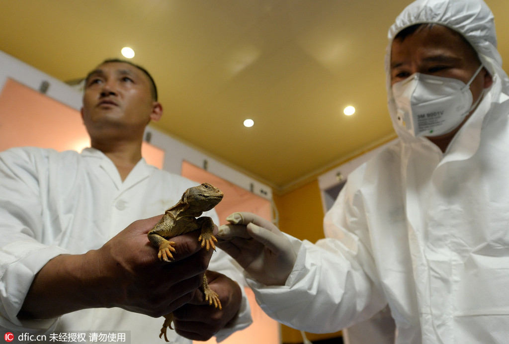 苏丹三种野生动物首次到达北京 繁殖后将投入