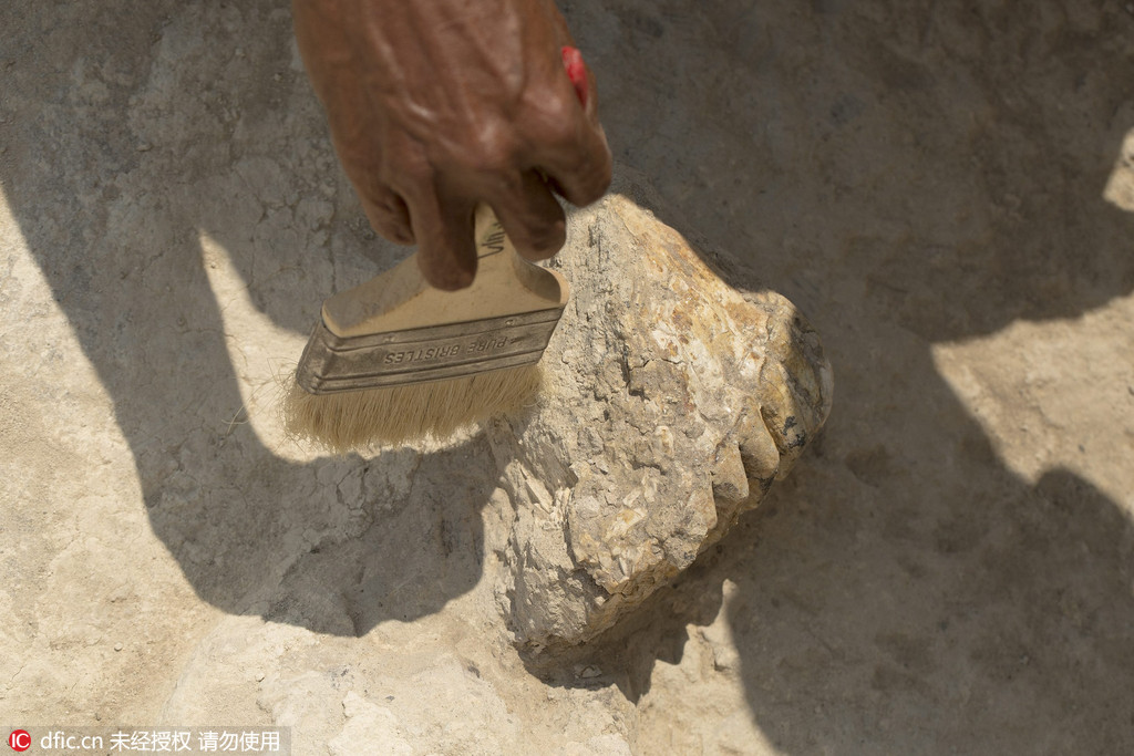 科学家发现古人类化石 比霍比特人更矮小