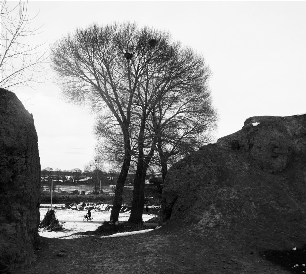 7.ε��ˮ��������Ƭ�����ߣ���ռ�ϡ�����Ӣ�������ǡ�����ϼ��������������ƽ�����÷���Ͻ�÷����Ԫ����־�ꡢ�Ծꡢ������