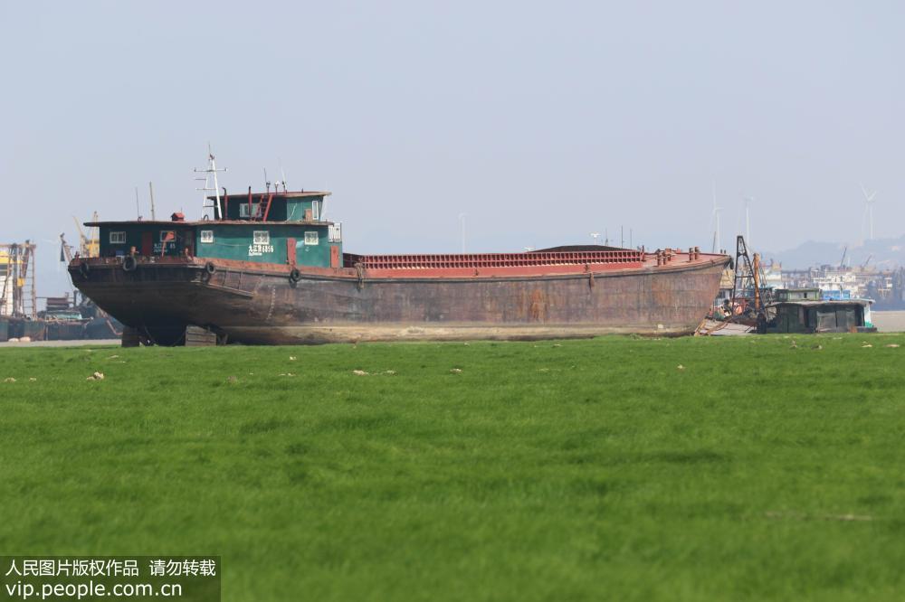 水域面积