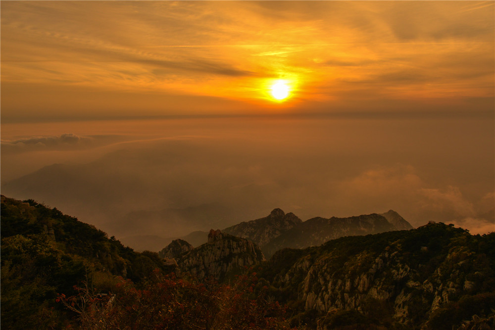10.��̩᷷�⡷���� ��Ӱ