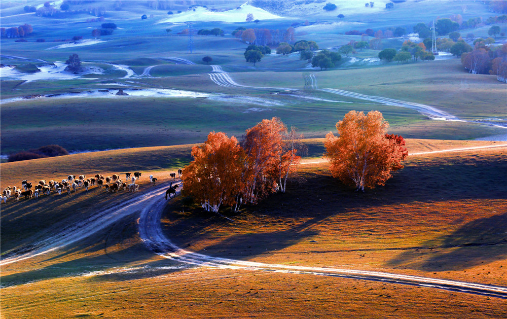 �Դ���Ʒѡ��5.�� ������