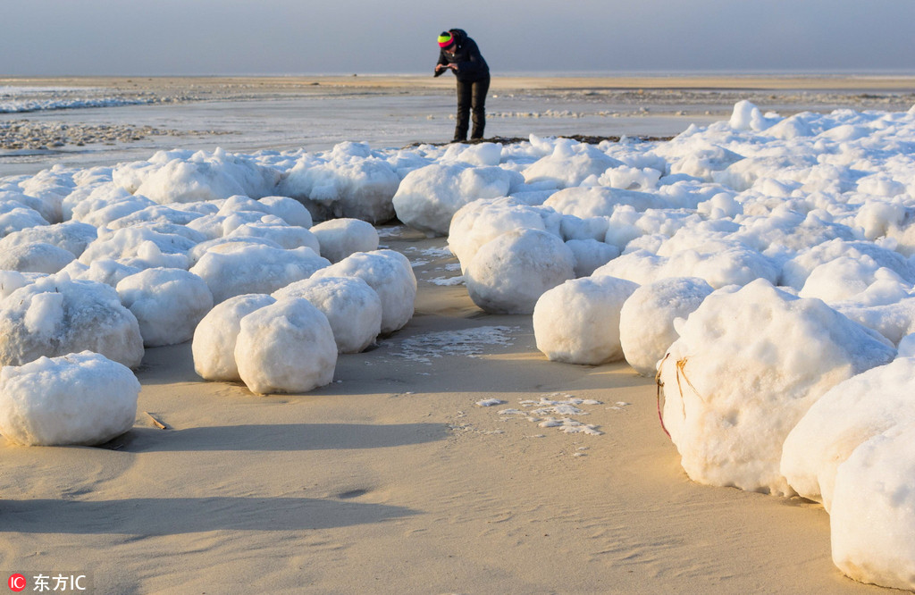 俄罗斯海滩出现大批神秘雪球 好像一颗颗大汤