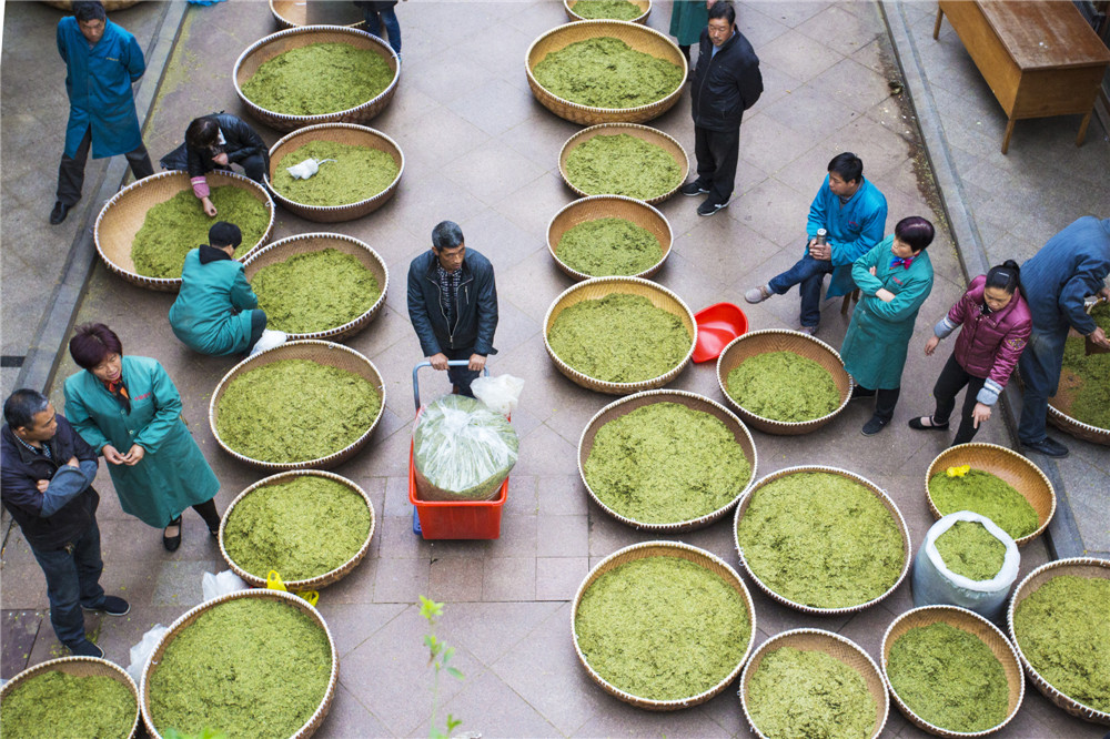 ���轻�� ���