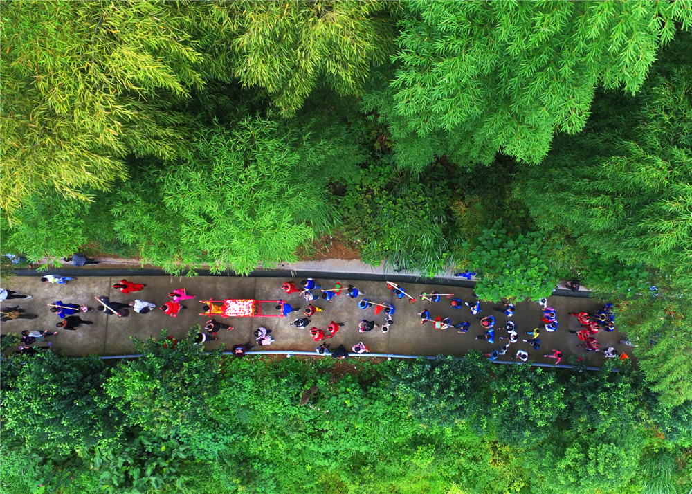 ����Ȣ Ҷ����