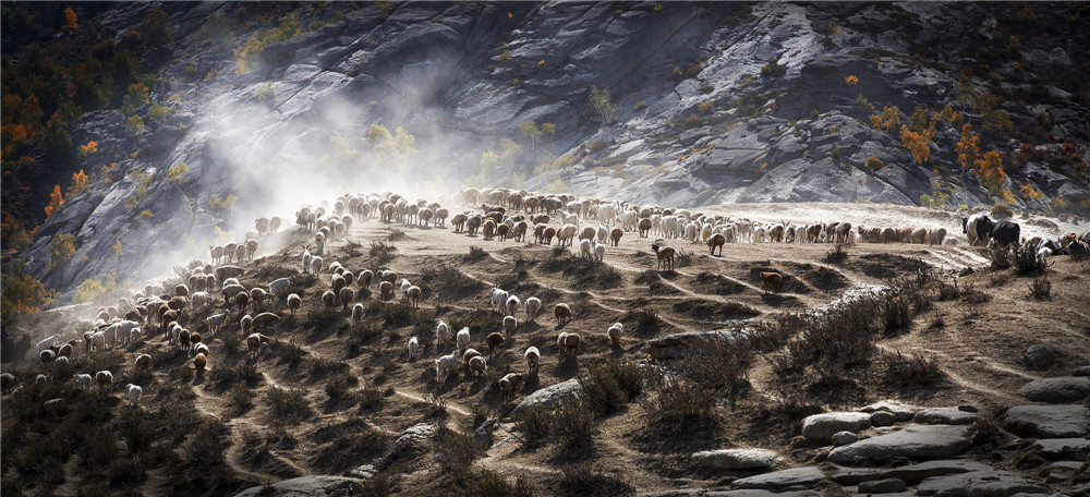 ת������ �쿡