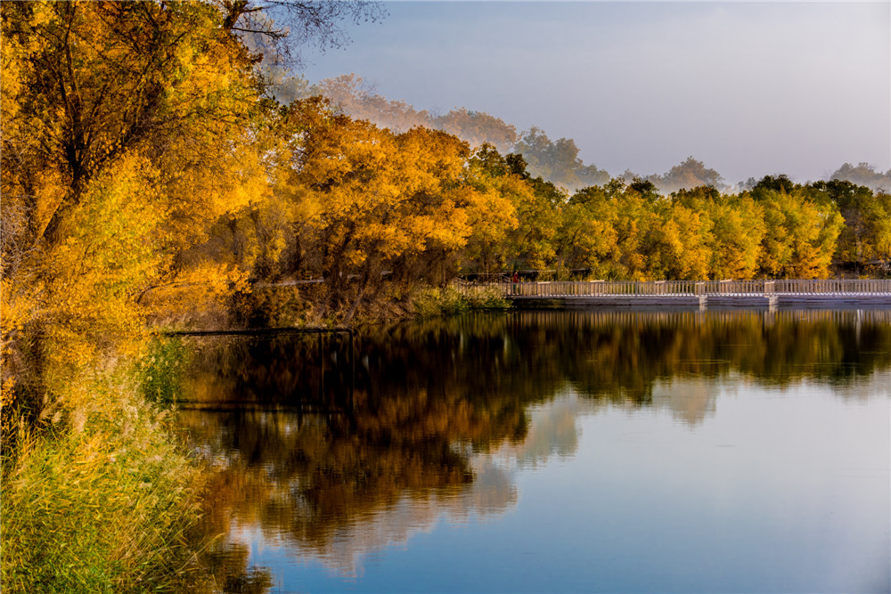 ���½��ͳ��ɷ硷������Ʒ��7��