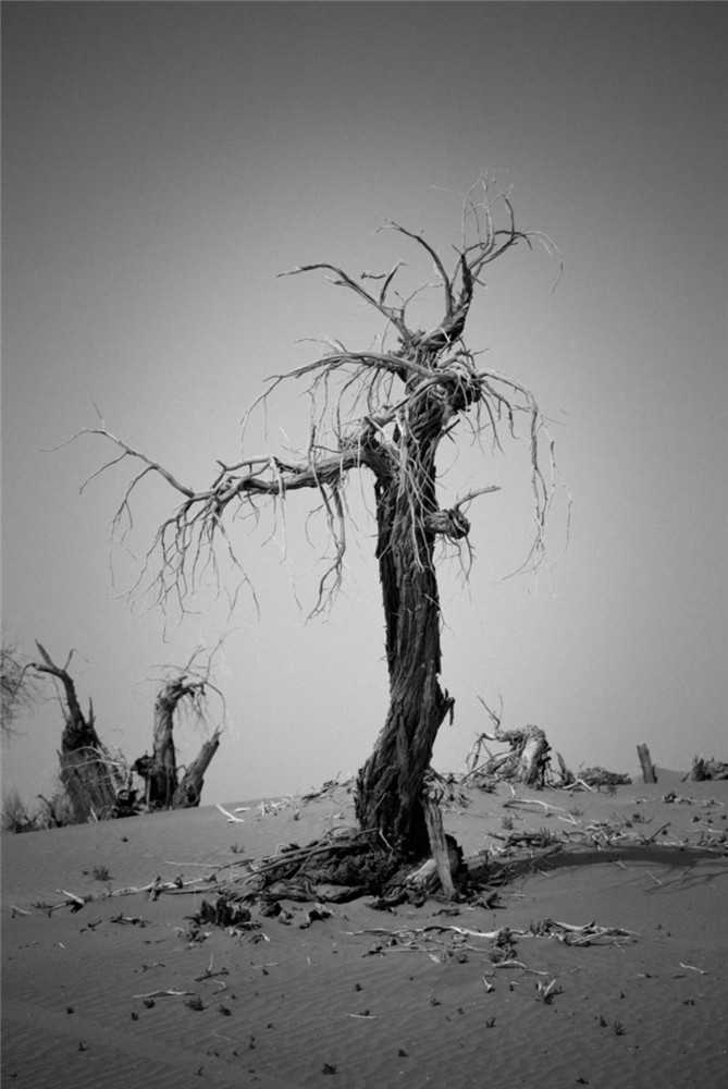 ǧ���ɣ��������Ӱ