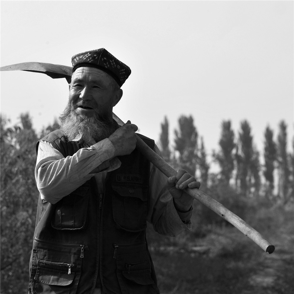 �ⵤ�F�������ӡ�