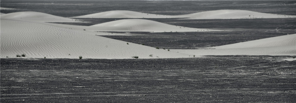 �ⵤ�F��ɳ����