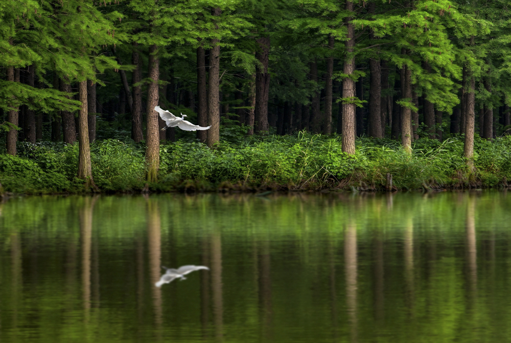 9.����ˮ���� ����