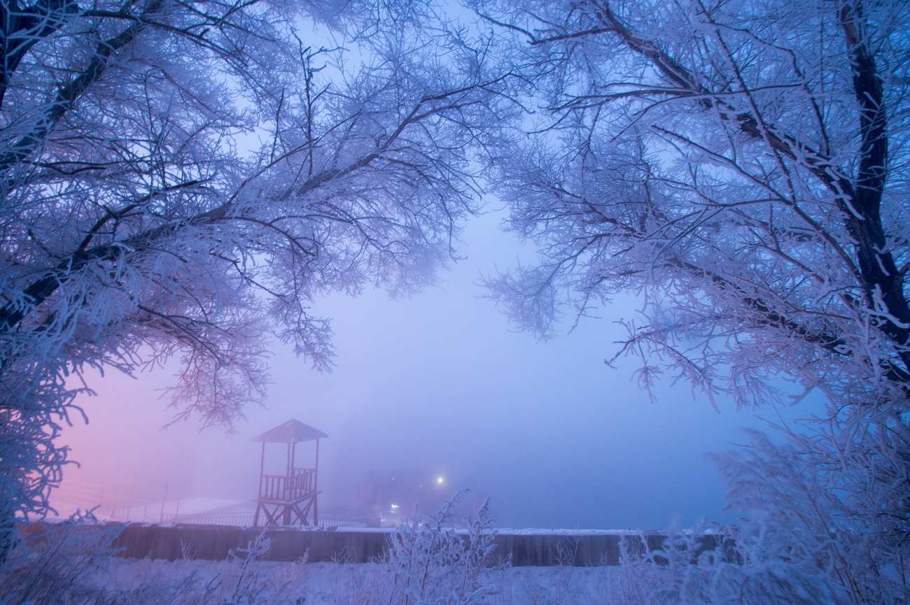 10吳波霧凇作品
