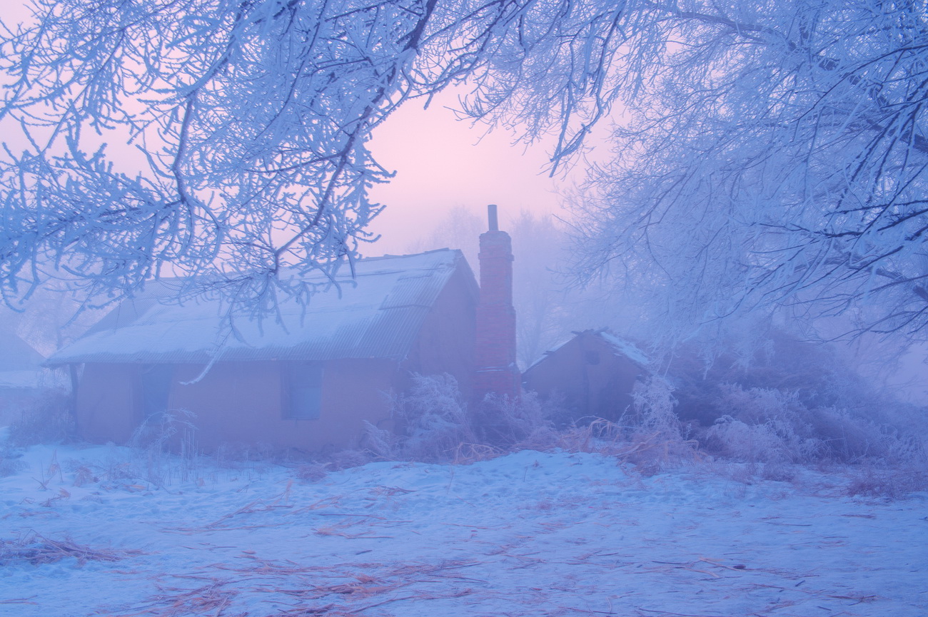 15�Ⲩ��ڡ��Ʒ