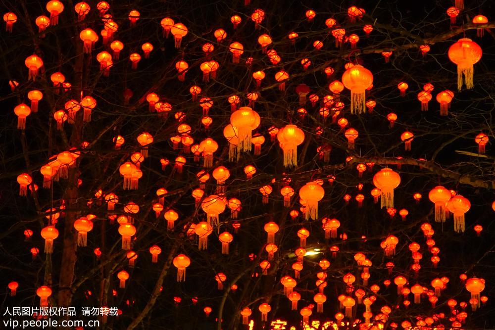青岛:火树银花不夜天 张灯结彩迎新春--图片频道--人民网