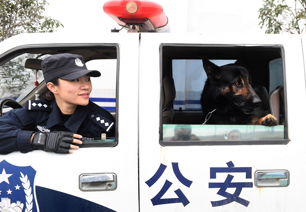  2月5日，劉慧帶上“威利”准備出發前往車站。   新華社記者 程敏 攝