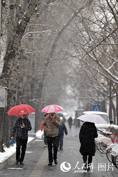 2月21日中午,北京城区飘起鹅毛大雪,瞬间地面上就积起一层薄雪.