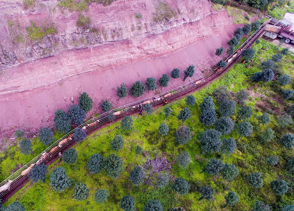 �ᶼ��һ����ֳ��ҵ����ţת��ר��ͨ����2��21���㣩��