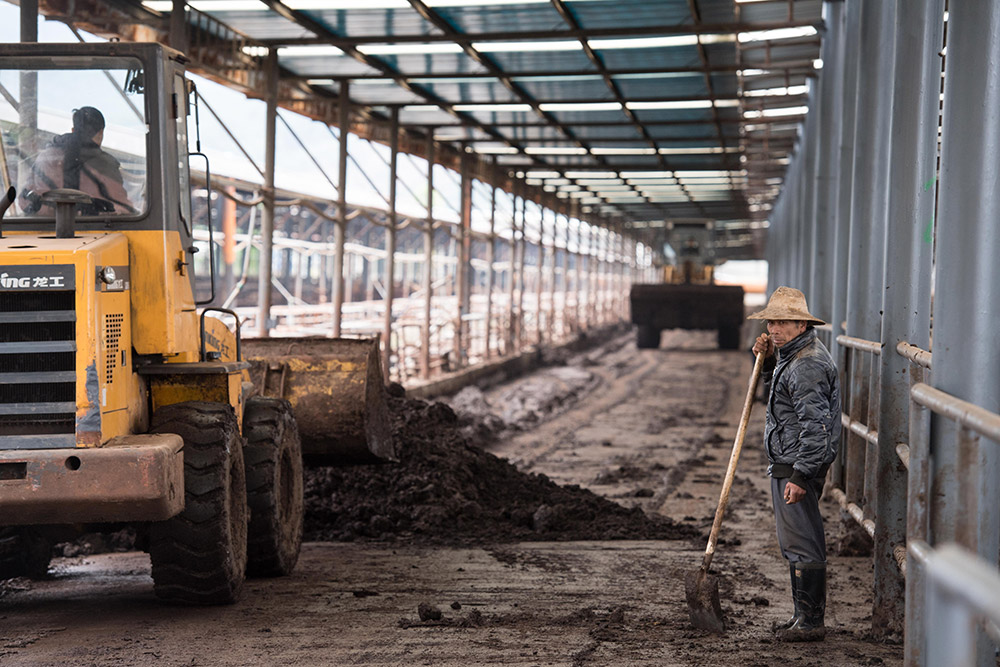 �������ڷᶼ��һ����ţ��ֳ�����û�е�豸���������ţ�ࣨ2��21���㣩��