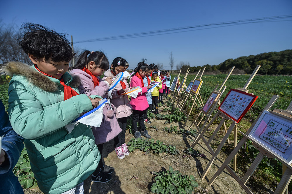 3月2日，織裡鎮漾西小學刺繡社團的孩子們在田野裡“繡春”，感受春意。