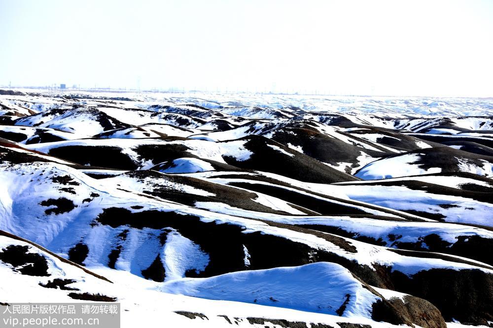 新疆北屯丰庆湖国家湿地公园融雪美如画